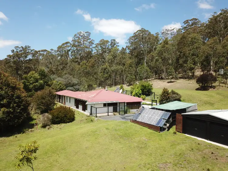 Fifth view of Homely rural property listing, 535 Devils Hole Rd, Wyndham NSW 2550