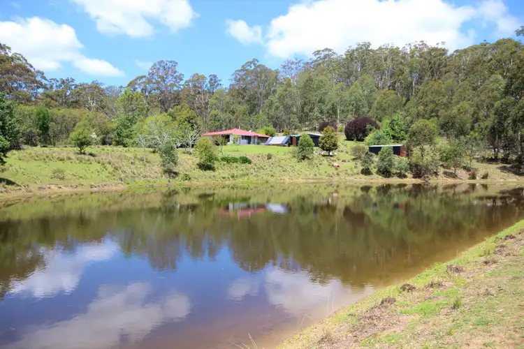 Sixth view of Homely rural property listing, 535 Devils Hole Rd, Wyndham NSW 2550