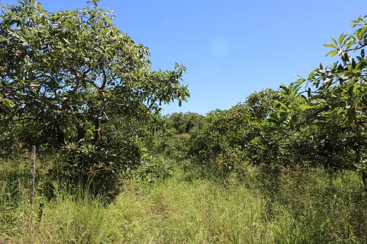 Second view of Homely rural property listing, 104 Whitebridge Rd, North Isis QLD 4660