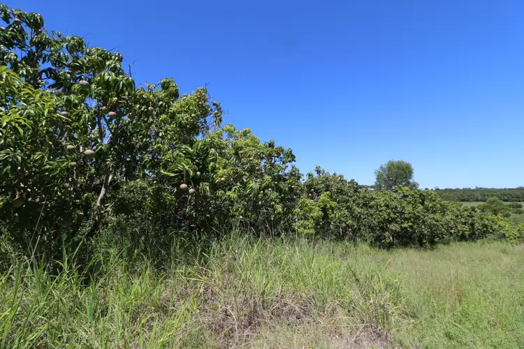 Third view of Homely rural property listing, 104 Whitebridge Rd, North Isis QLD 4660