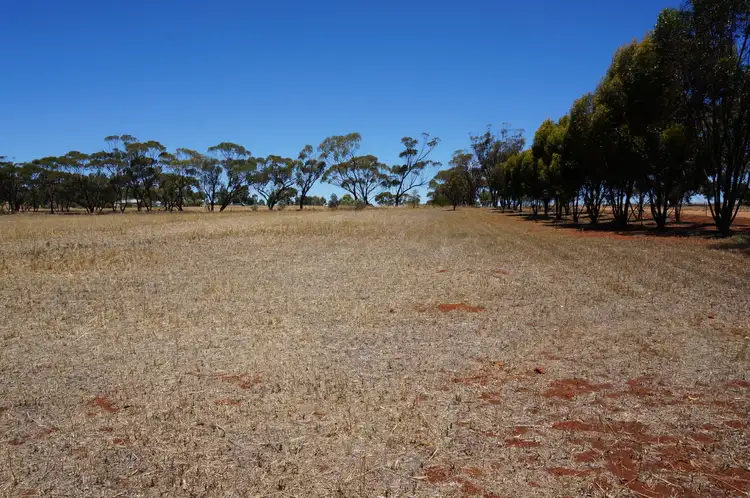 Fifth view of Homely land listing, 10 Binning Close, Toodyay WA 6566