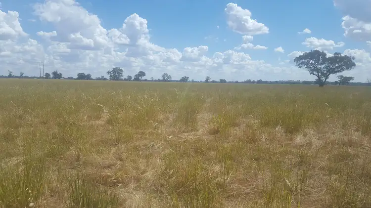 6897 Riverina Hwy, Hopefield NSW 2646