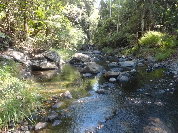 1213 Horseshoe Creek Road, Kyogle NSW 2474