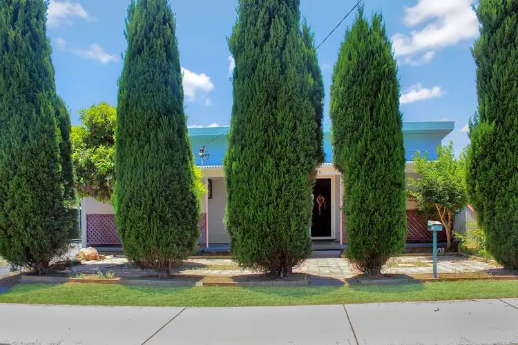 49 Satur Rd, Scone NSW 2337