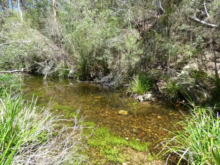 Third view of Homely rural property listing, 55 Palestine Road, Eden NSW 2551