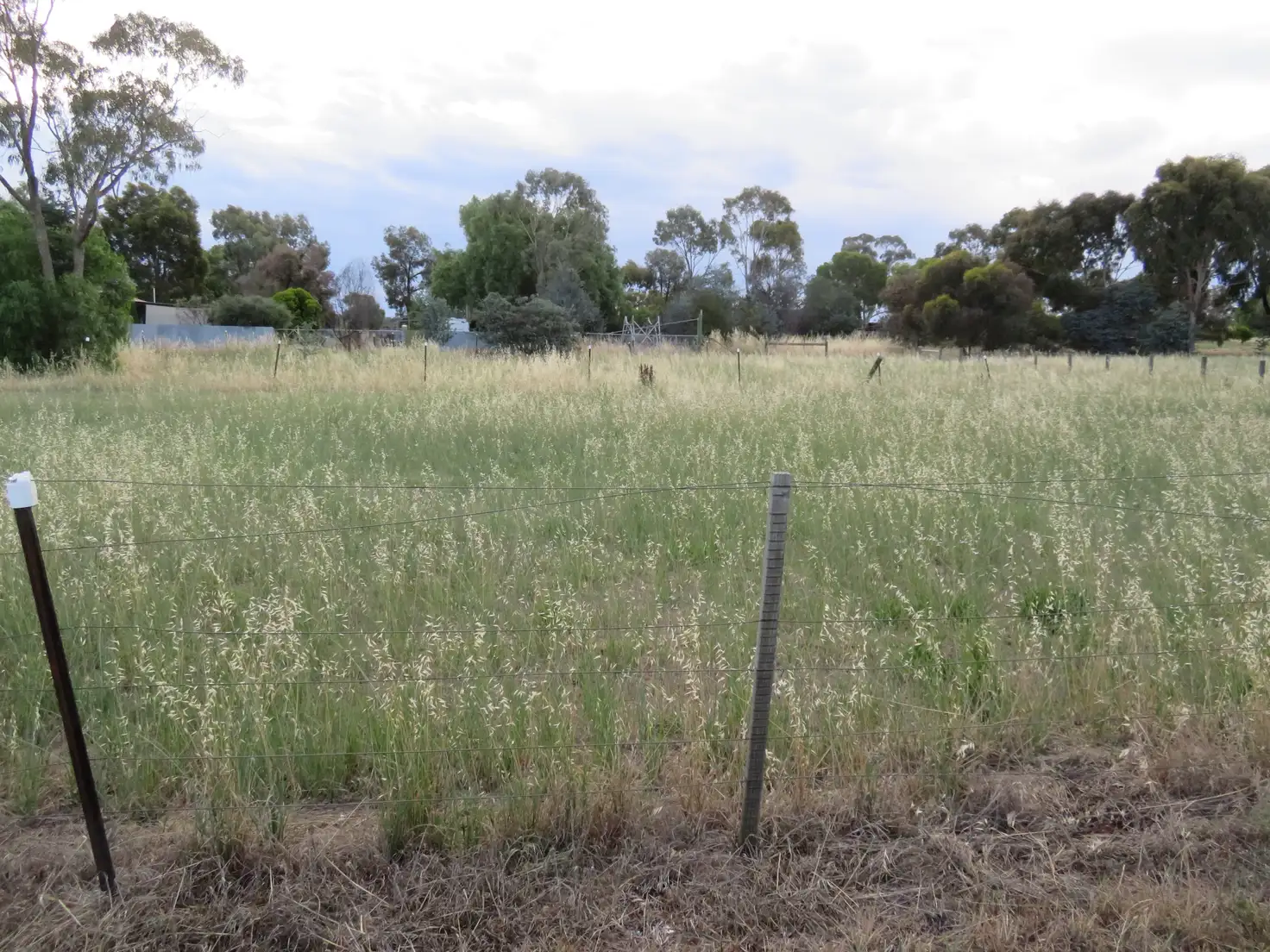 Main view of Homely rural property listing, 14 Brooke St, Inglewood VIC 3517