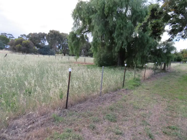Second view of Homely rural property listing, 14 Brooke St, Inglewood VIC 3517