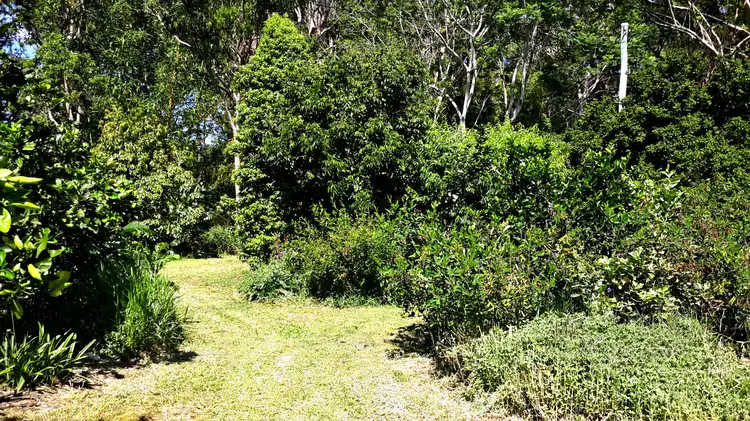 Seventh view of Homely other listing, 1-3 Ascham St, Ravenshoe QLD 4888