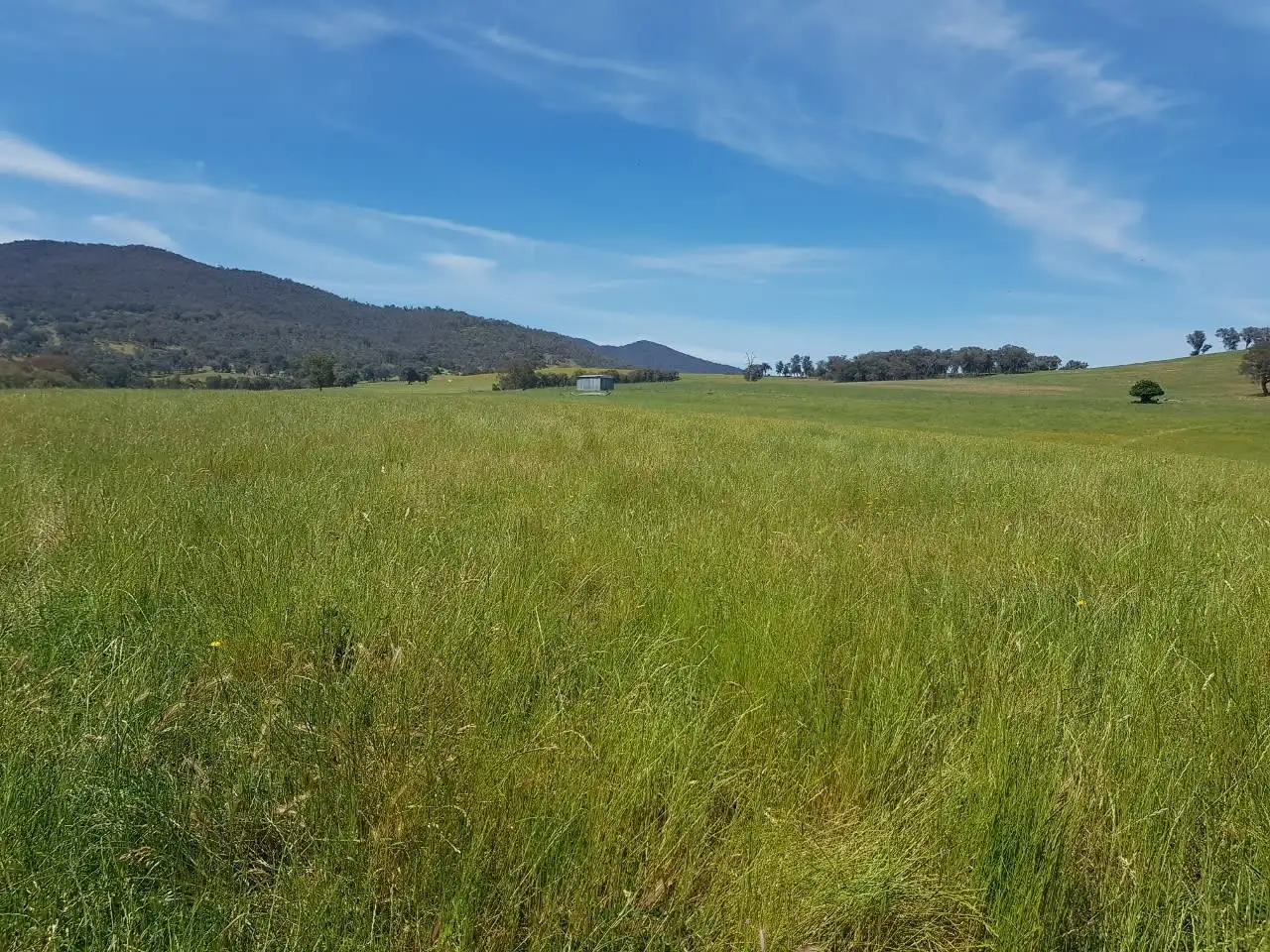 Main view of Homely rural property listing, . Meehans Lane, Osbornes Flat VIC 3691
