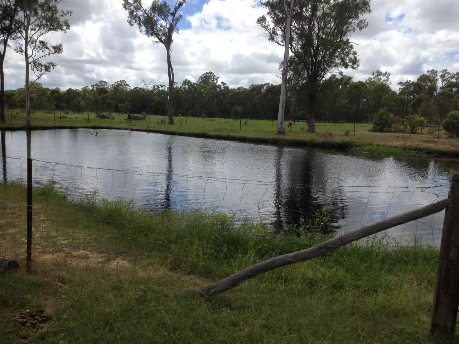 Main view of Homely rural property listing, 1209 Gin Gin Rd, Sharon QLD 4670