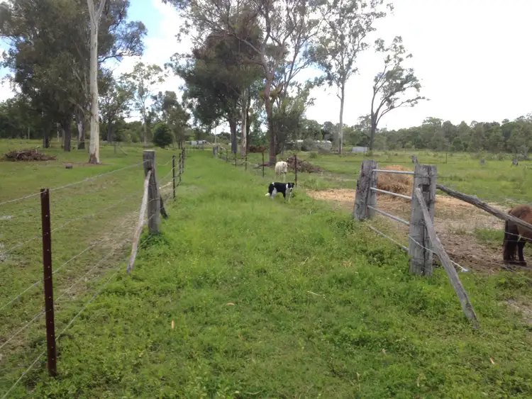 Fourth view of Homely rural property listing, 1209 Gin Gin Rd, Sharon QLD 4670