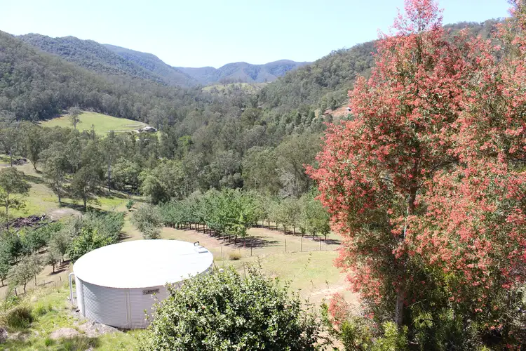Second view of Homely rural property listing, 47 Tibbuc Rd, Gloucester NSW 2422