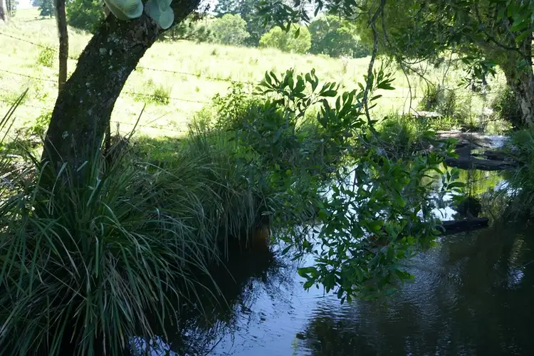 Third view of Homely rural property listing, LOT 69 Homeleigh Road, Kyogle NSW 2474