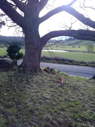 Third view of Homely house listing, 1079 Holwell Road, Holwell TAS 7275