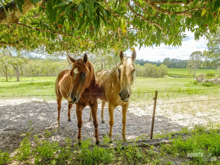 Sixth view of Homely rural property listing, 149 Tagigan Road, Goomboorian QLD 4570