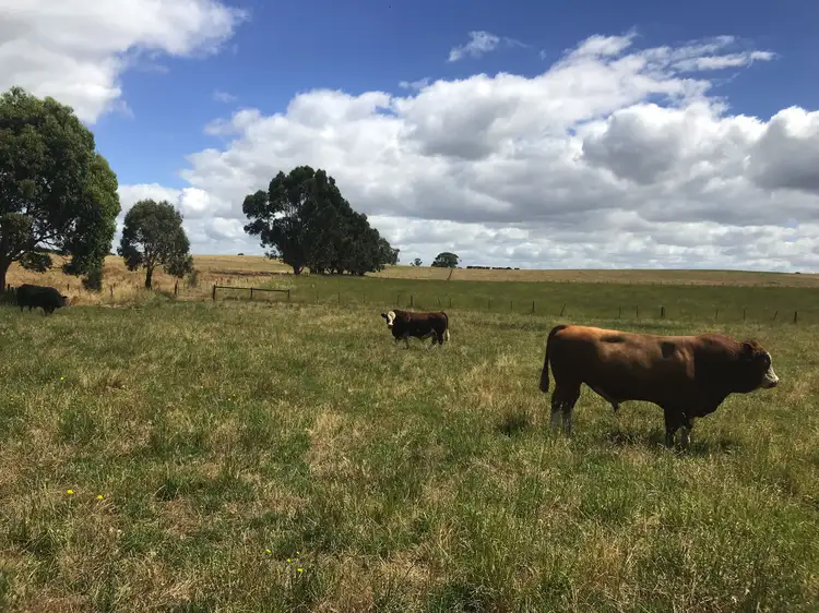Lot 114 Hill Rd, Yahl SA 5291