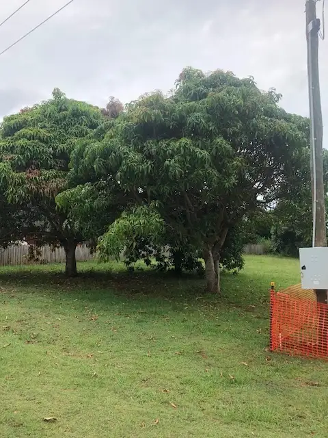 Fifth view of Homely land listing, 25 Cavendish, Russell Island QLD 4184