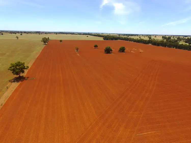 1755 Greenvale Road, Boree Creek NSW 2652