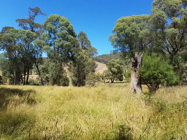 Second view of Homely rural property listing, . Bullhead Road "Hill-N-Glen", Mitta Mitta VIC 3701