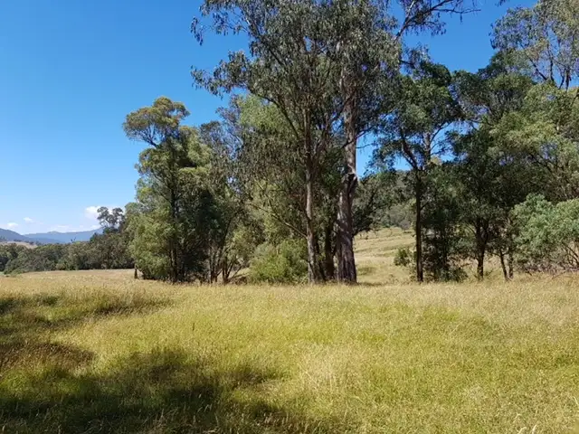 Third view of Homely rural property listing, . Bullhead Road "Hill-N-Glen", Mitta Mitta VIC 3701
