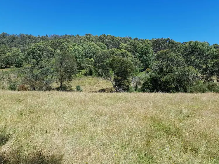 Fourth view of Homely rural property listing, . Bullhead Road "Hill-N-Glen", Mitta Mitta VIC 3701