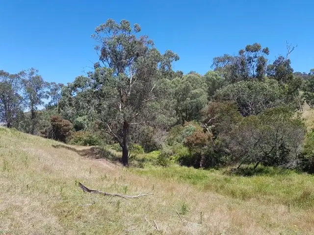 Seventh view of Homely rural property listing, . Bullhead Road "Hill-N-Glen", Mitta Mitta VIC 3701