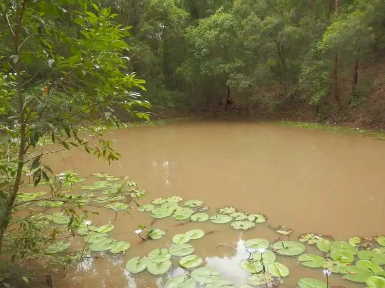 Second view of Homely rural property listing, 2/1534 Paddys Flat Rd, Tabulam NSW 2469