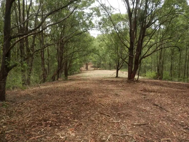 Fourth view of Homely rural property listing, 2/1534 Paddys Flat Rd, Tabulam NSW 2469