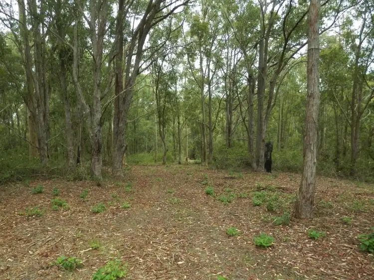 Fifth view of Homely rural property listing, 2/1534 Paddys Flat Rd, Tabulam NSW 2469