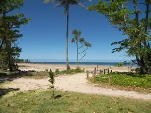 Main view of Homely land listing, 20 Conch St, Mission Beach QLD 4852
