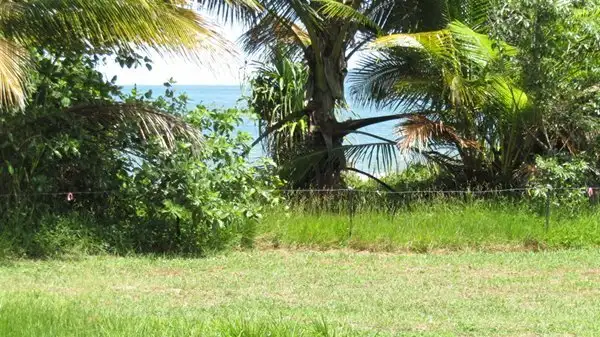 Sixth view of Homely land listing, 20 Conch St, Mission Beach QLD 4852