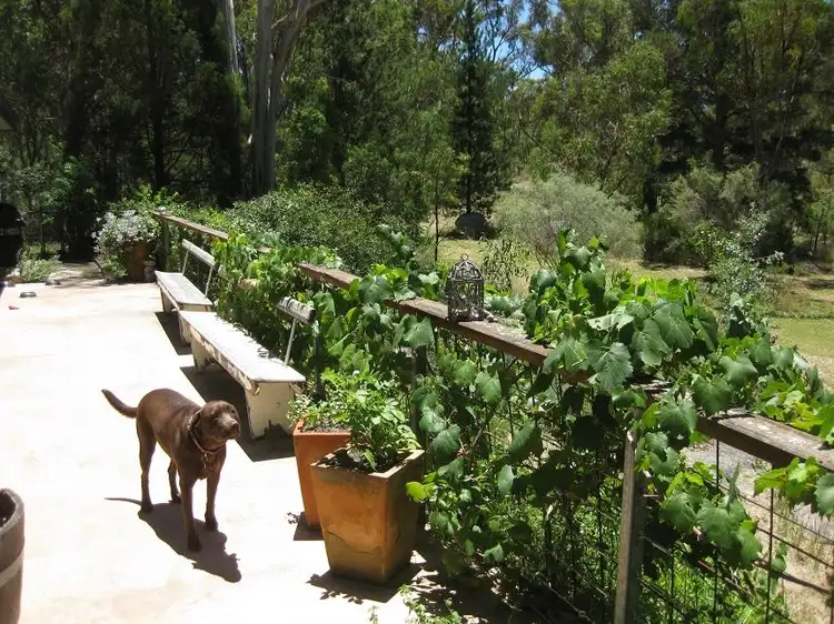 Fifth view of Homely rural property listing, 219 Caves Rd, Stanthorpe QLD 4380