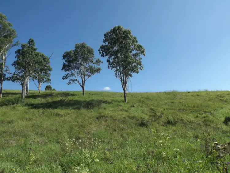 1185 Collins Creek Rd, Kyogle NSW 2474