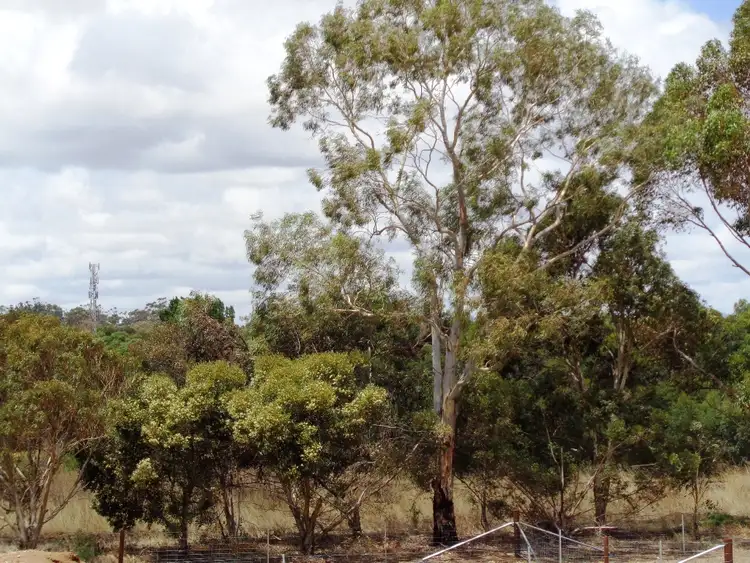 Third view of Homely land listing, 2/102 PARKERS ROAD, Gawler Belt SA 5118