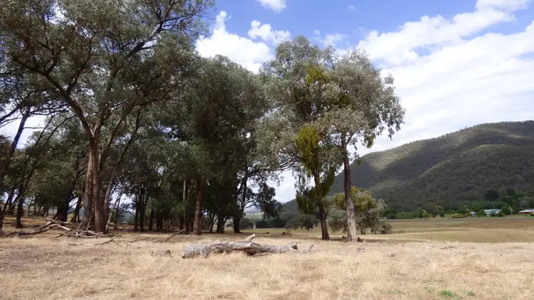Sixth view of Homely rural property listing, 2A, 3 & 3B Myrtleford-Yackandandah Road, Myrtleford VIC 3737