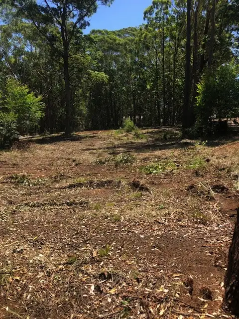 Fifth view of Homely land listing, 54-58 Taylor St, Russell Island QLD 4184