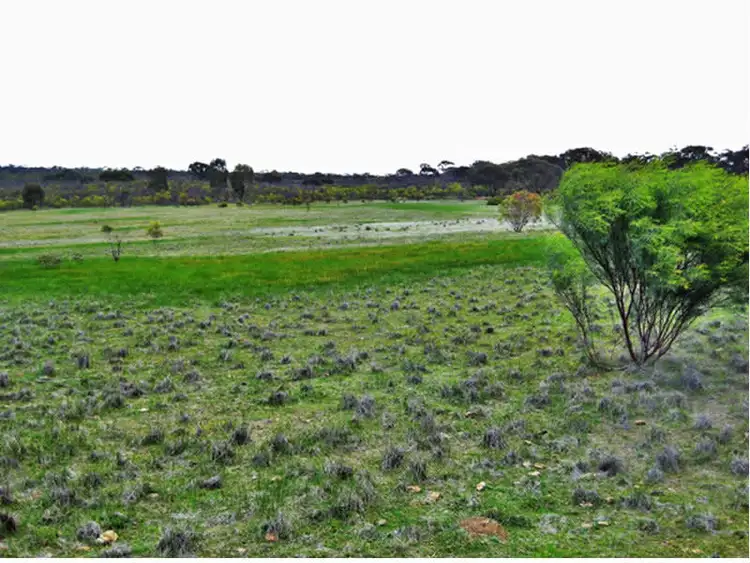 Main view of Homely rural property listing, Lot 1 Wedderburn-Wychitella Road, Buckrabanyule VIC 3525