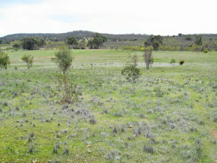 Second view of Homely rural property listing, Lot 1 Wedderburn-Wychitella Road, Buckrabanyule VIC 3525