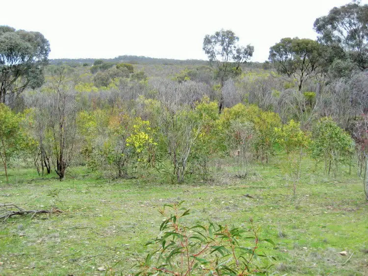 Third view of Homely rural property listing, Lot 1 Wedderburn-Wychitella Road, Buckrabanyule VIC 3525