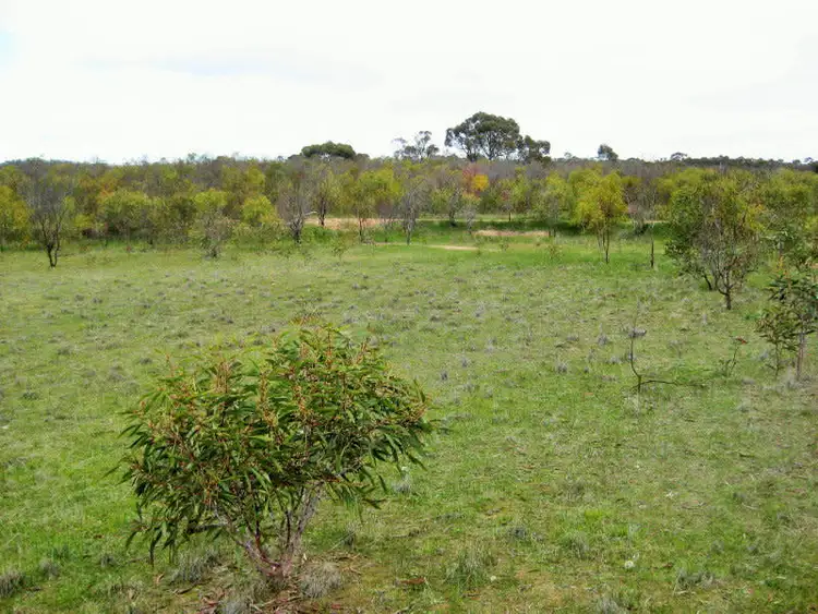 Sixth view of Homely rural property listing, Lot 1 Wedderburn-Wychitella Road, Buckrabanyule VIC 3525