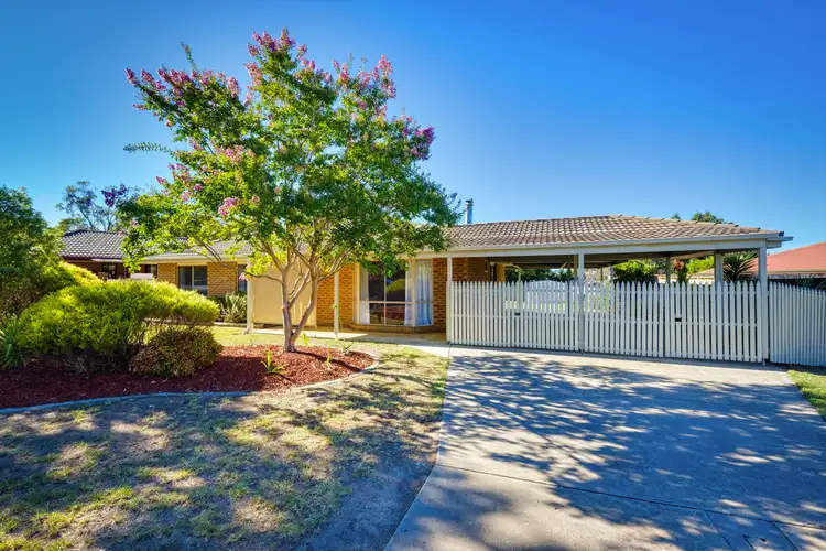 Main view of Homely house listing, 20 Kennedia St, Thurgoona NSW 2640