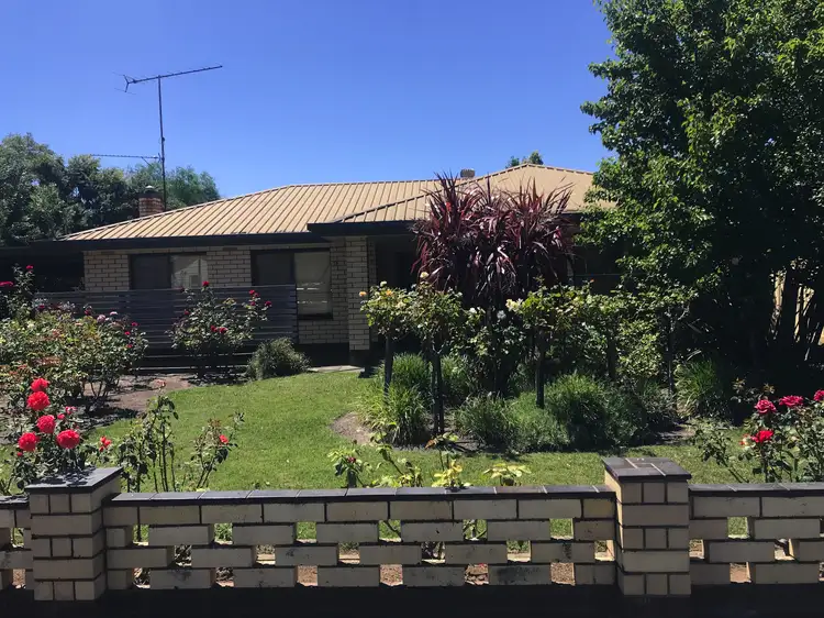 Main view of Homely house listing, 19 Riddoch St, Penola SA 5277