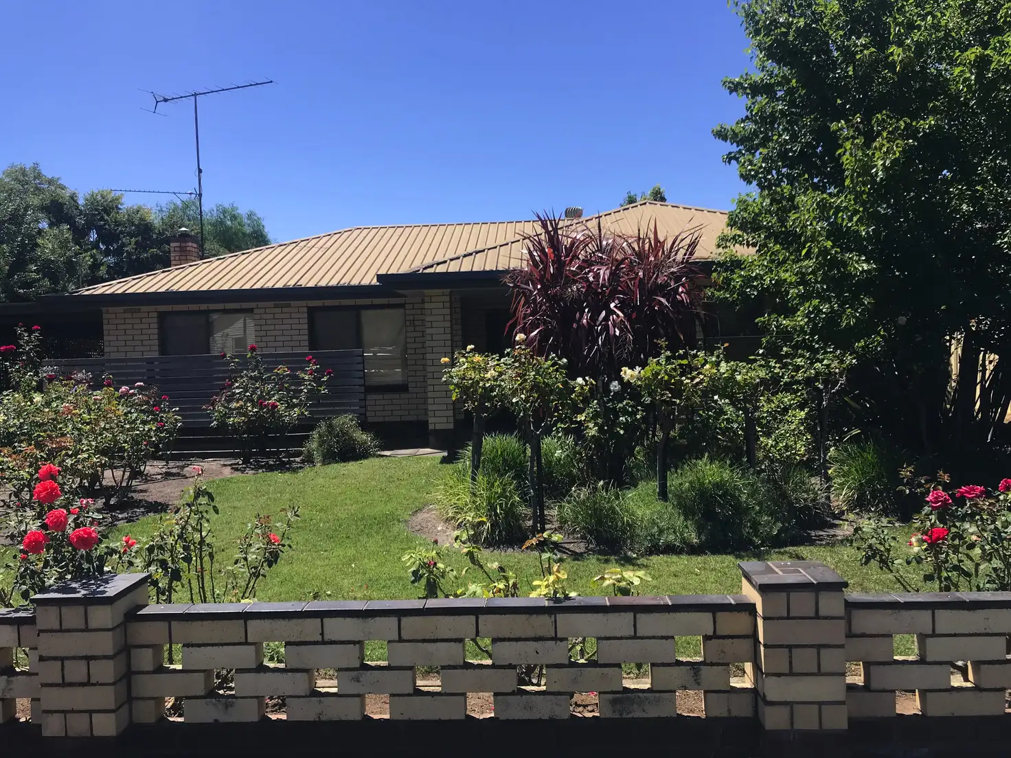 Main view of Homely house listing, 19 Riddoch St, Penola SA 5277