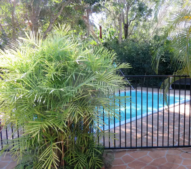 Seventh view of Homely rural property listing, 25A Jirrima Cres, Cooroibah QLD 4565