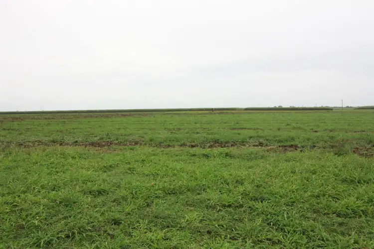 Second view of Homely land listing, 33 JACK Road, Brandon QLD 4808