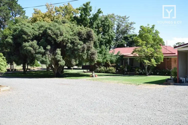 400 Tank Corner East Road, Pine Lodge VIC 3631