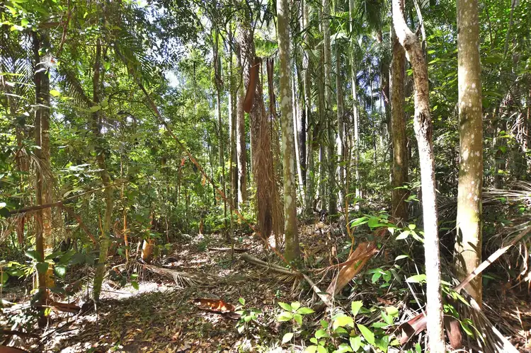 Sixth view of Homely land listing, 63 Macdonald Rd, Palmwoods QLD 4555