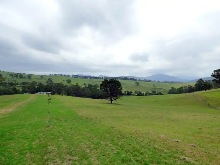 Second view of Homely rural property listing, Lot 1782 Pericoe Road, Towamba NSW 2550