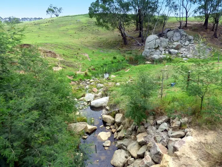 Third view of Homely rural property listing, Lot 1782 Pericoe Road, Towamba NSW 2550