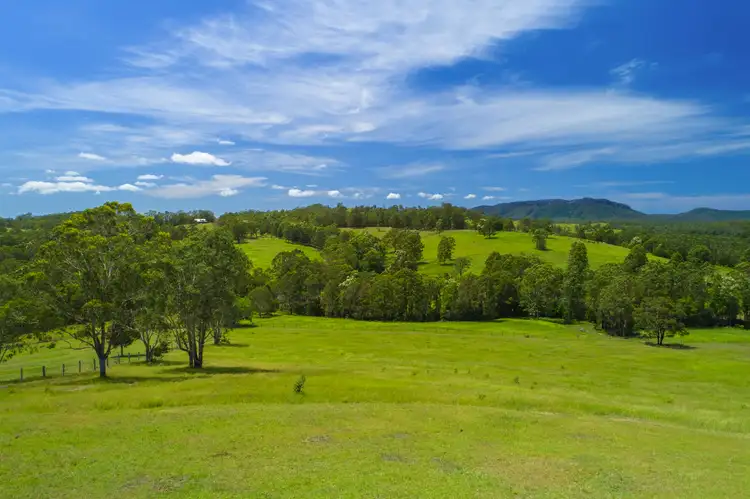 Seventh view of Homely rural property listing, 600 Pipeclay Rd, Pipeclay NSW 2446